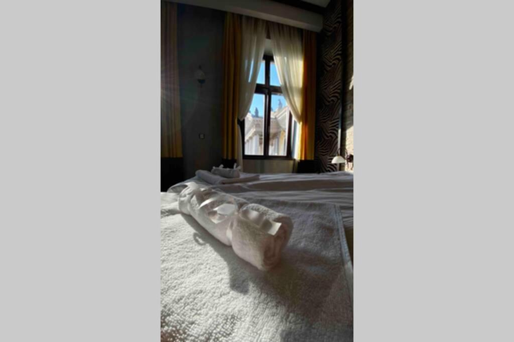 Safari Royal Apartment オラデア エクステリア 写真